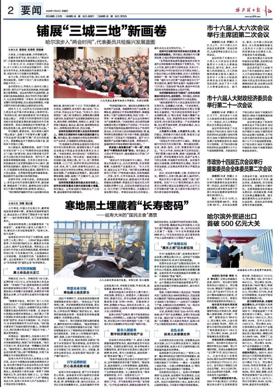 截图：《哈尔滨日报》