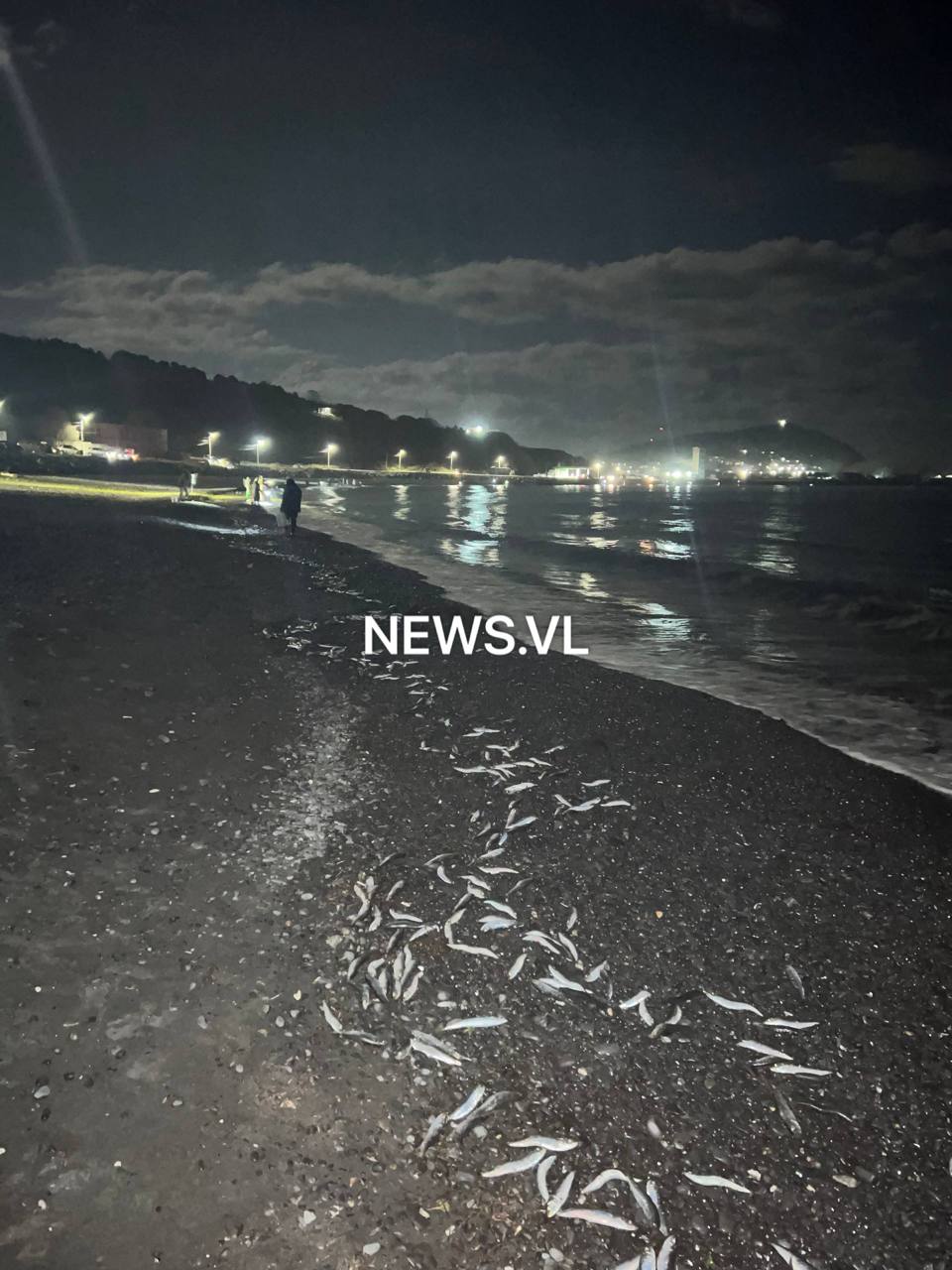 图：电报