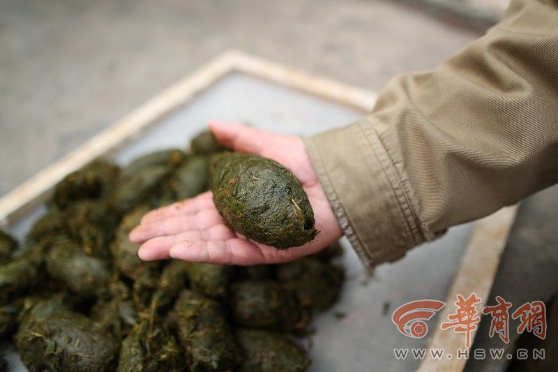 news.sina.com.cn