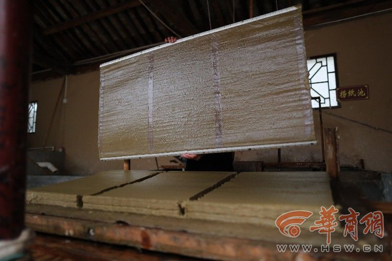 news.sina.com.cn