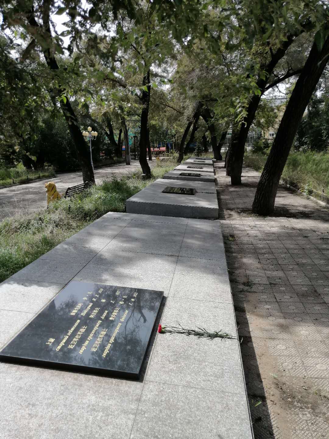Фото: ВКонтакте