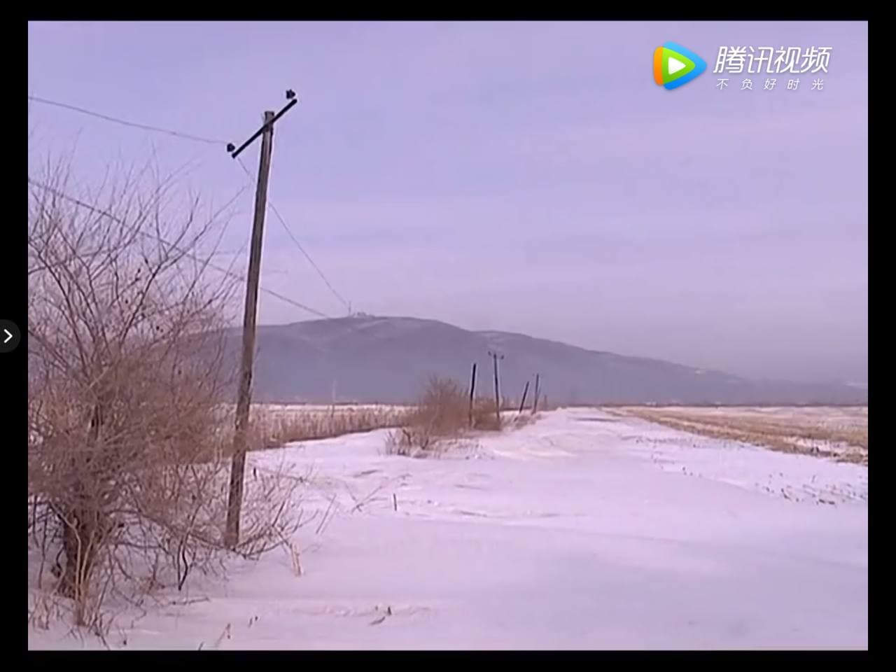 Скриншот: телевидение Дуннина