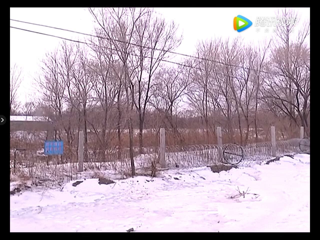 Скриншот: телевидение Дуннина