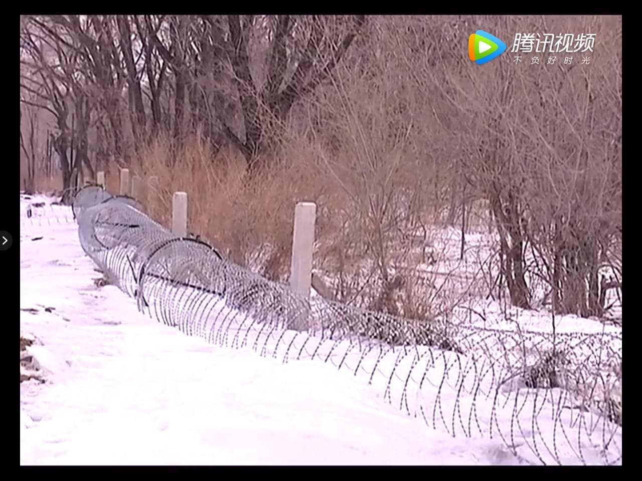 Скриншот: телевидение Дуннина