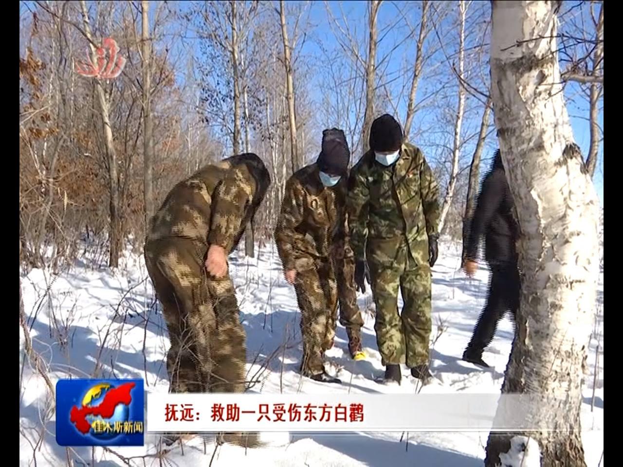 Скриншот: телевидение Цзямусы