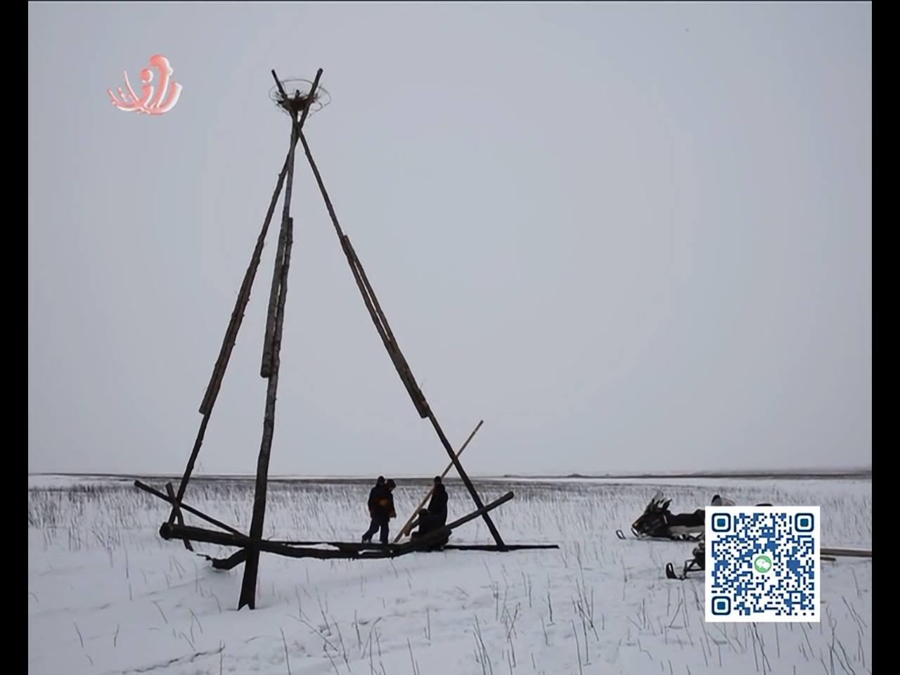 Скриншот: телевидение Цзямусы