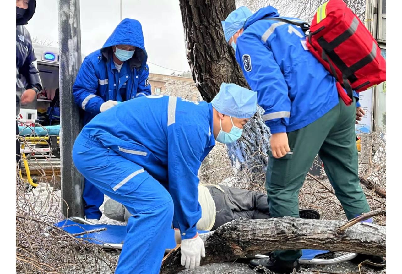 Фото: "Хэйлунцзян Жибао"