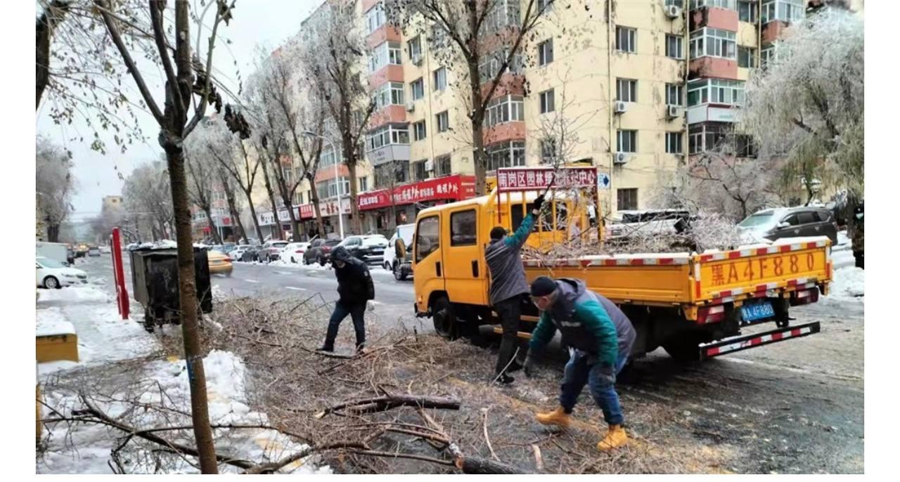 Фото: "Хэйлунцзян Жибао"