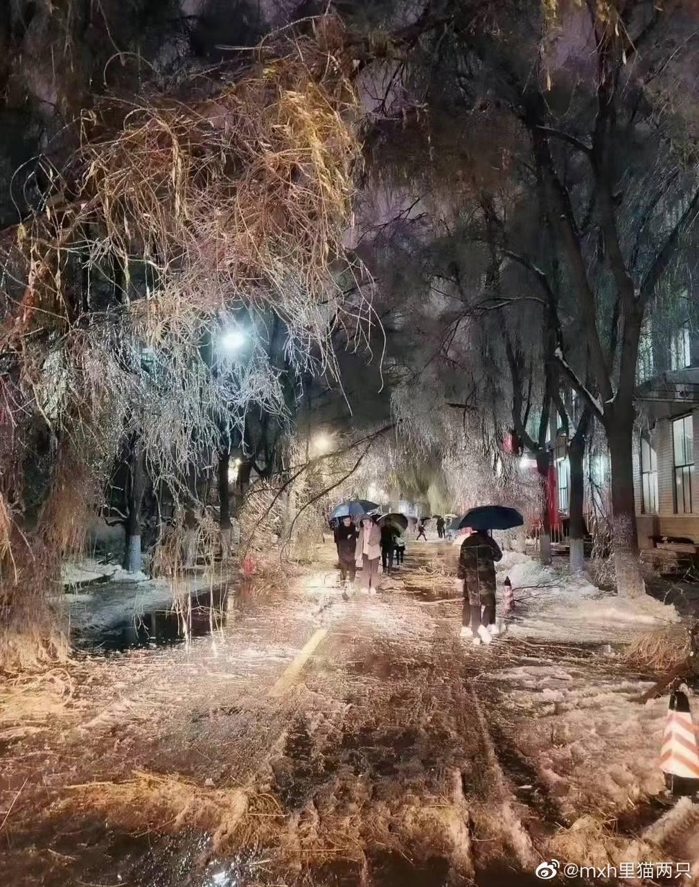Фото: Weibo