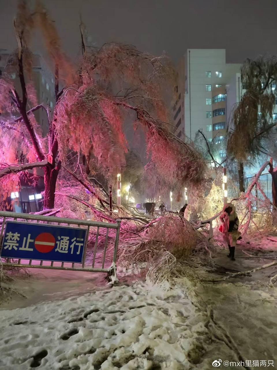 Фото: Weibo