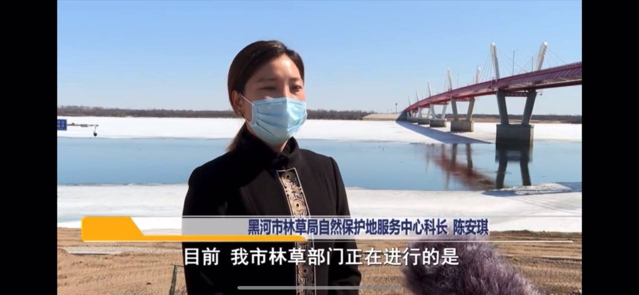 Скриншот: телевидение Хэйхэ