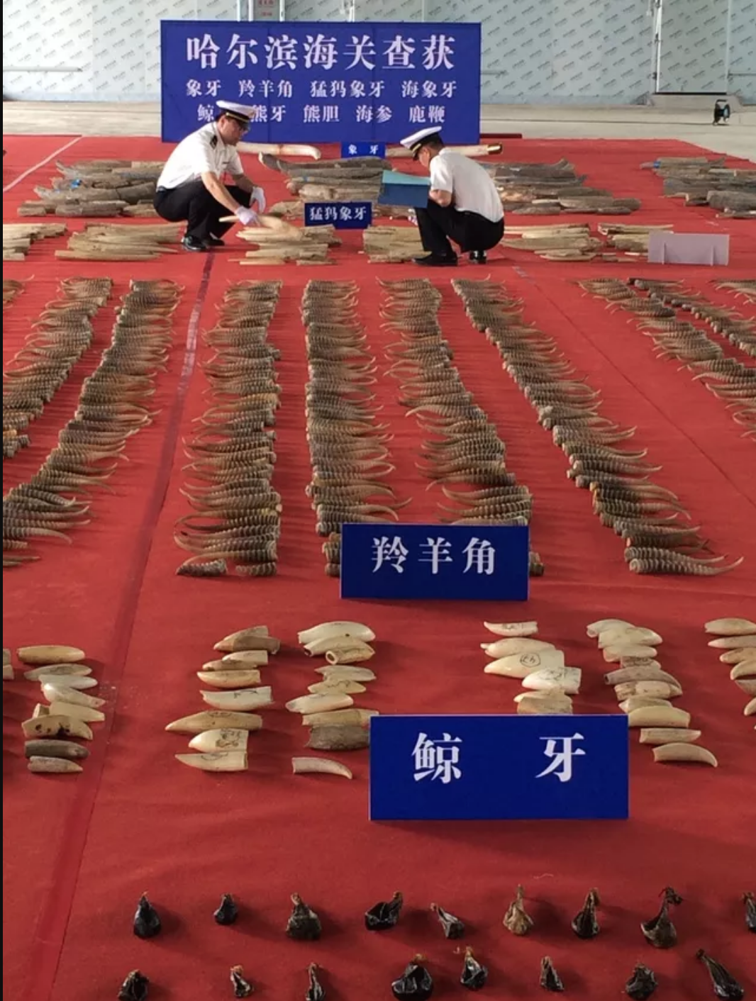https://mp.weixin.qq.com/