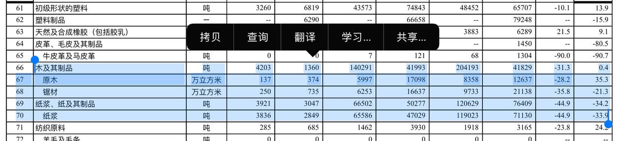 Скриншот: Чанчуньская таможня