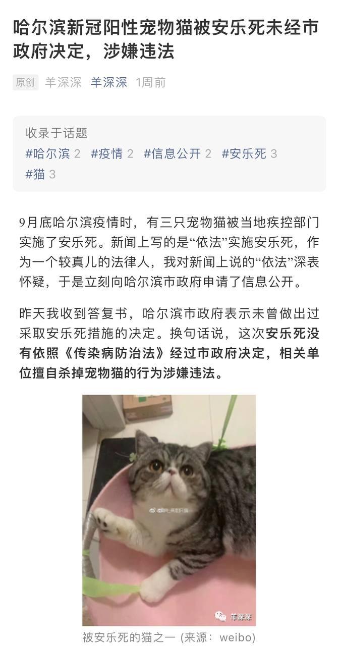 Скриншот: WeChat