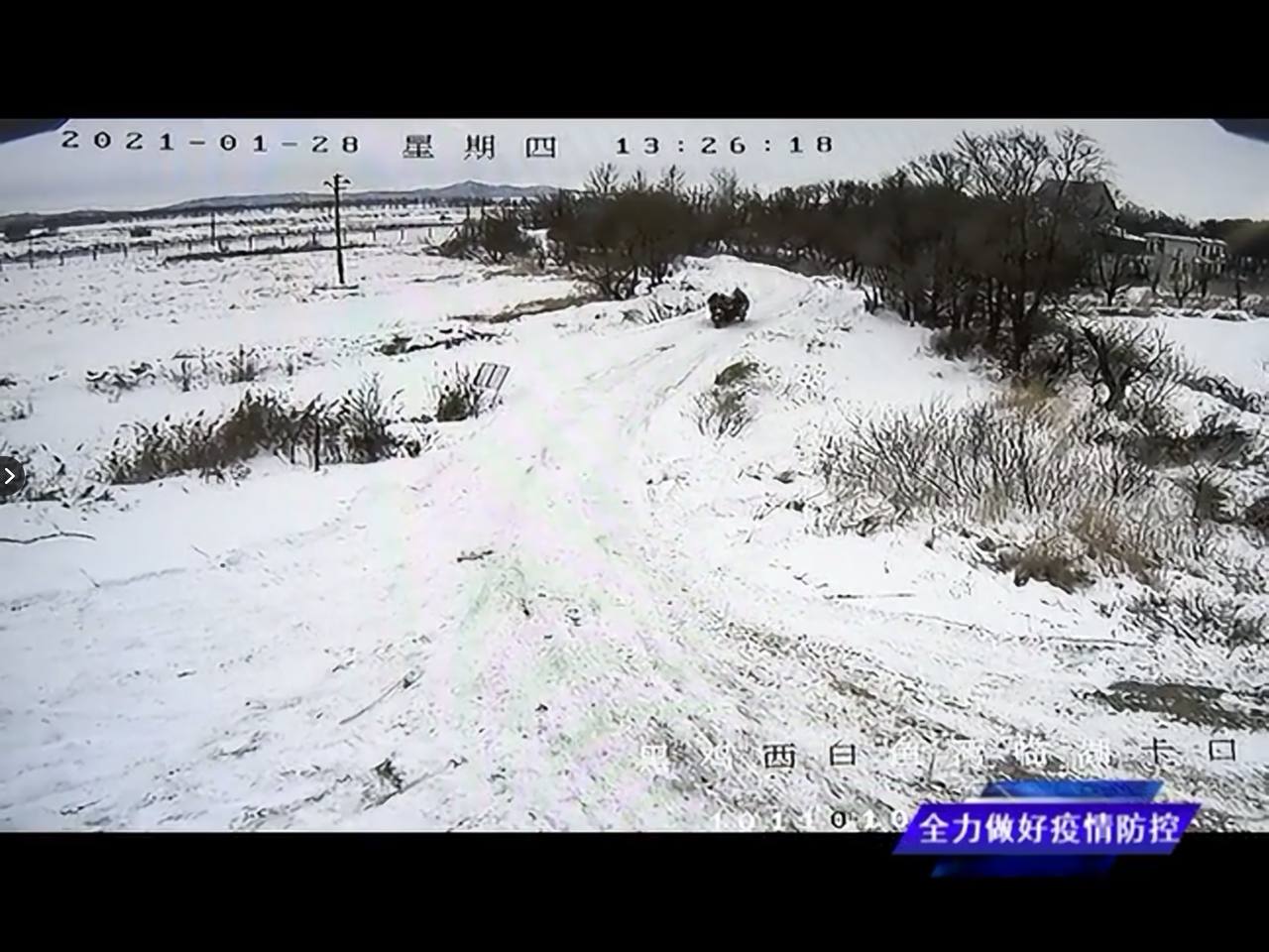 Скриншот: телевидение Мишаня