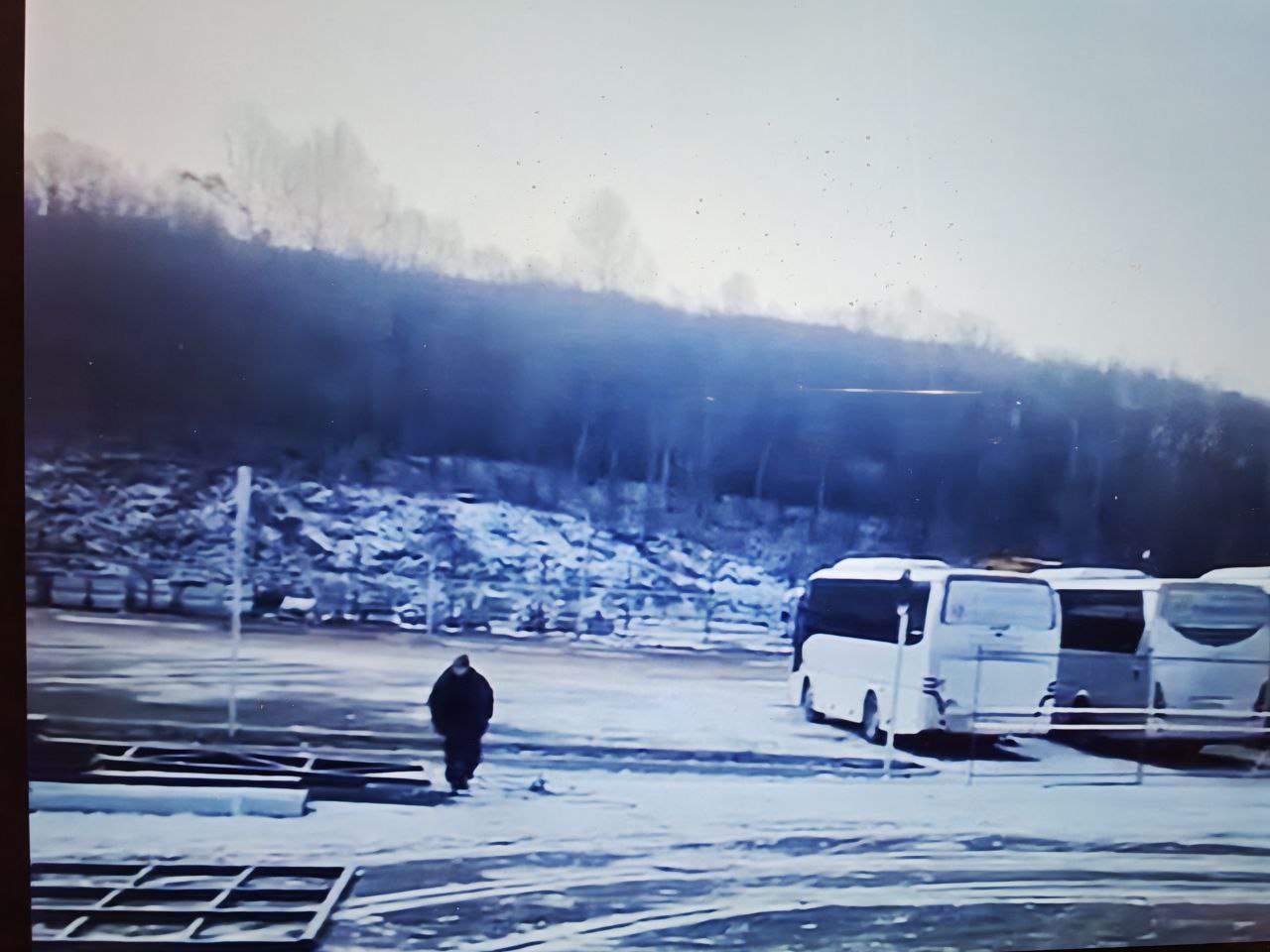 Скриншот: Telegram