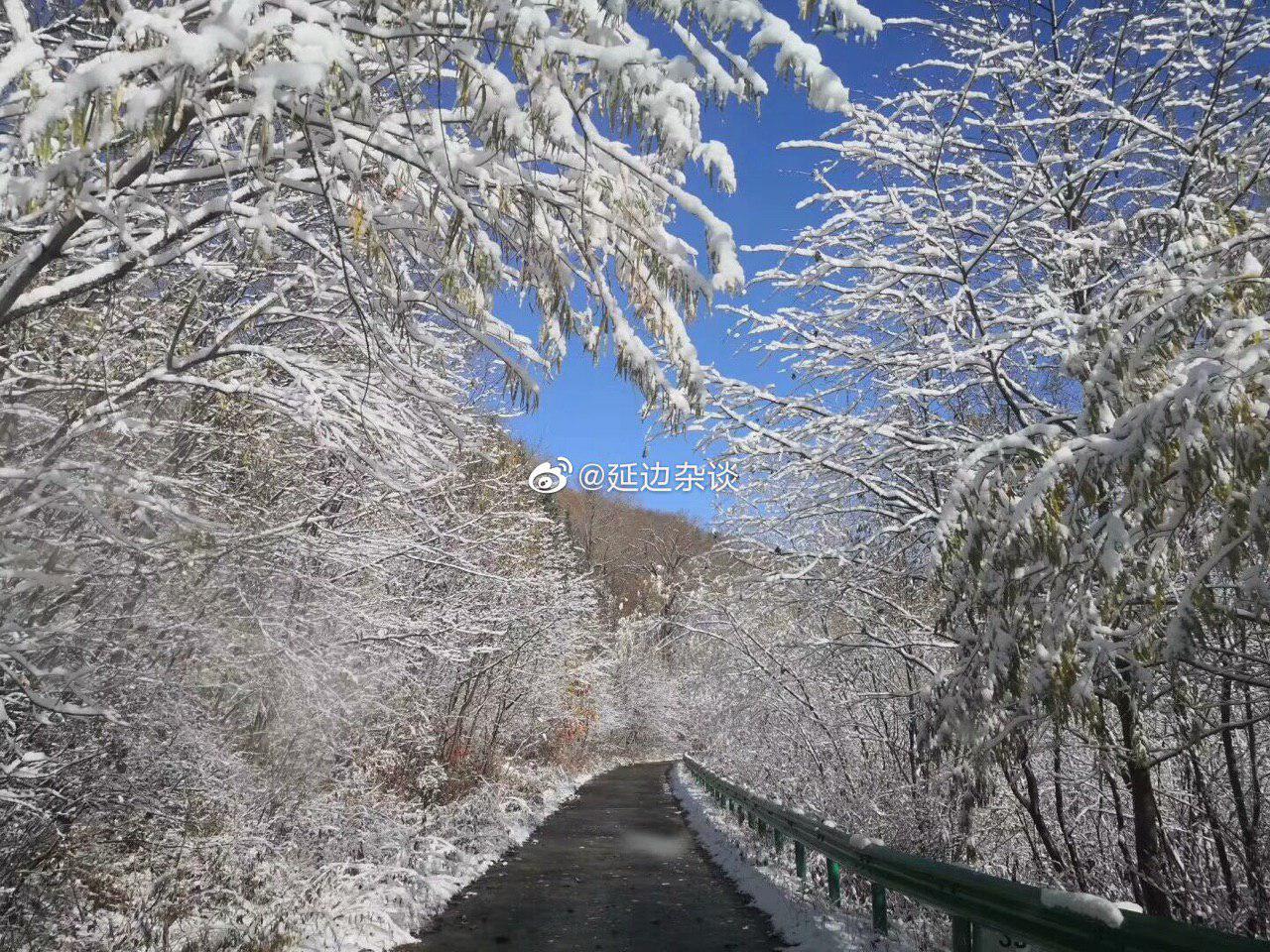 Фото: Weibo