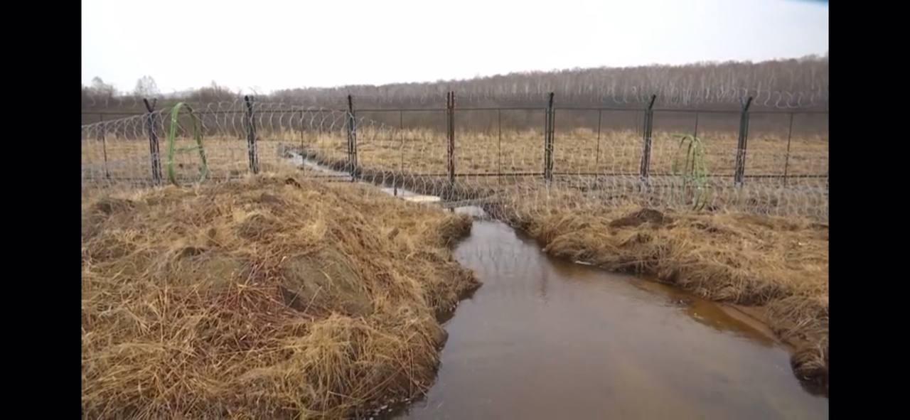 Скриншот: телевидение Суйфэньхэ