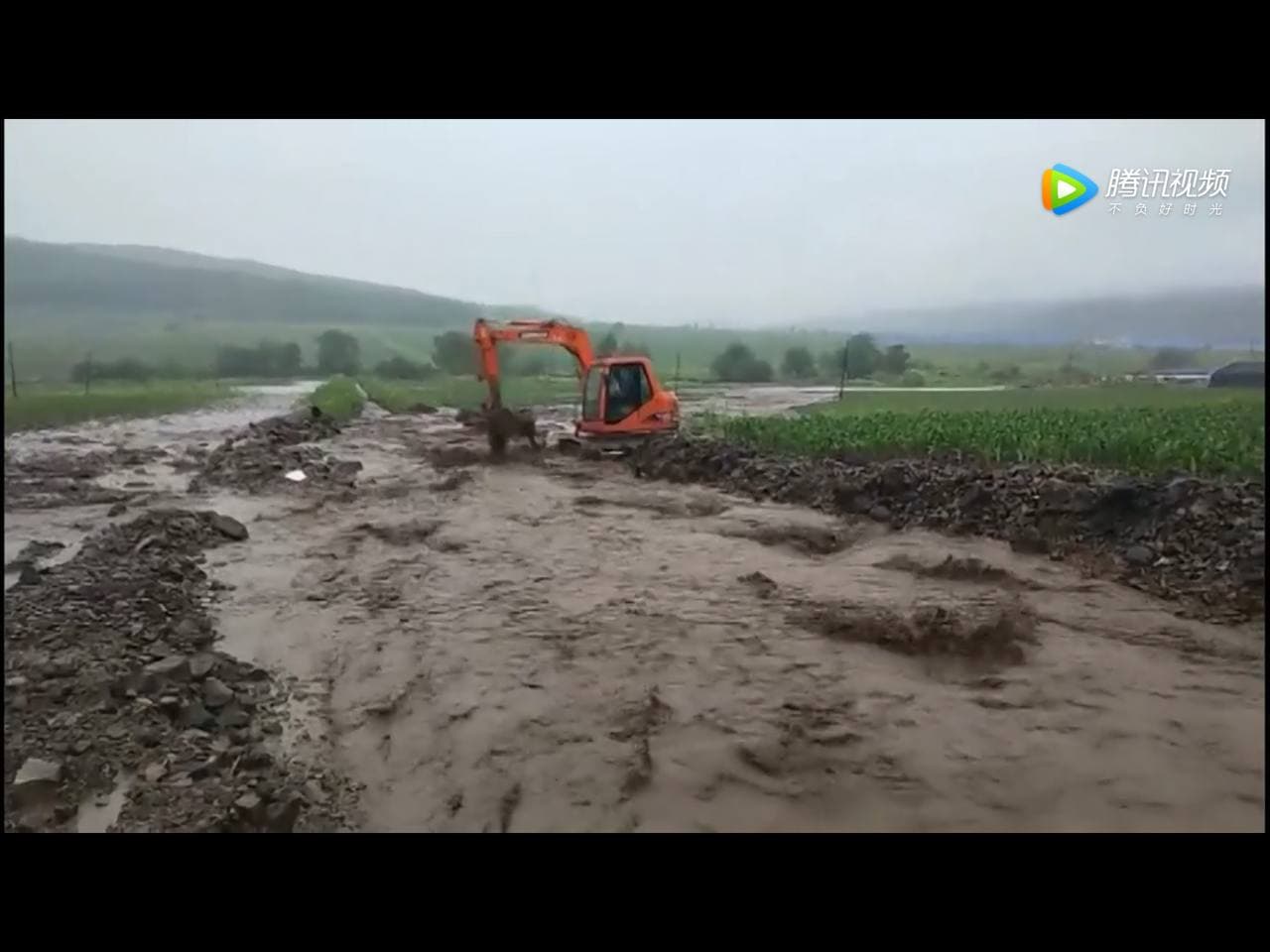 Скриншот: телевидение Суйфэньхэ