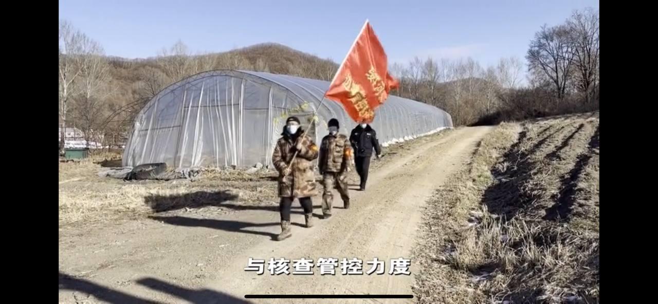 Скриншот: телевидение Суйфэньхэ