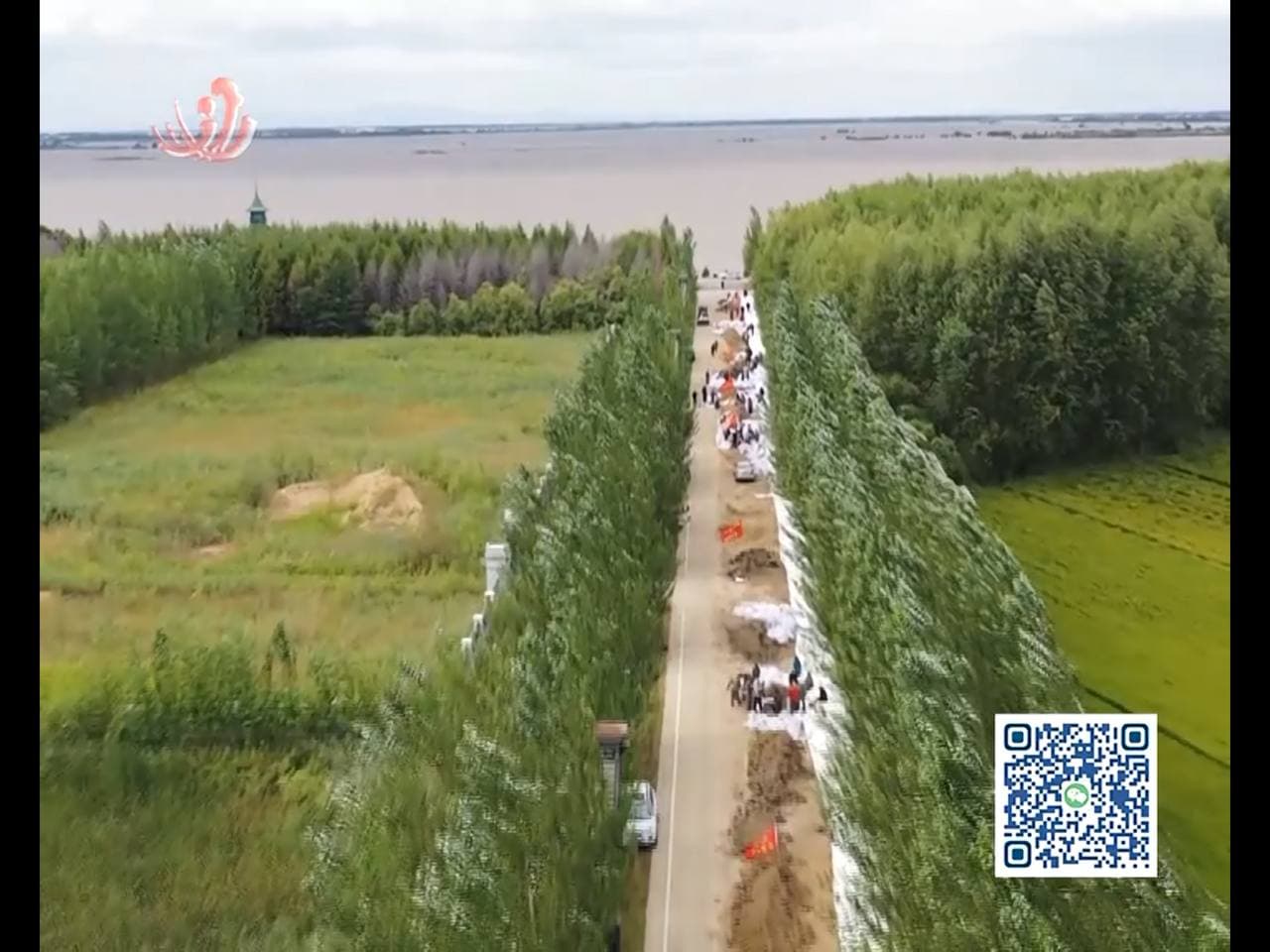 Скриншот: телевидение Цзямусы