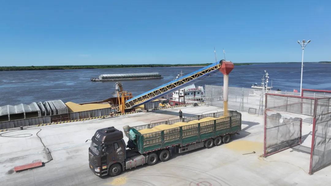 Фото: газета "Хэйхэ Жибао"