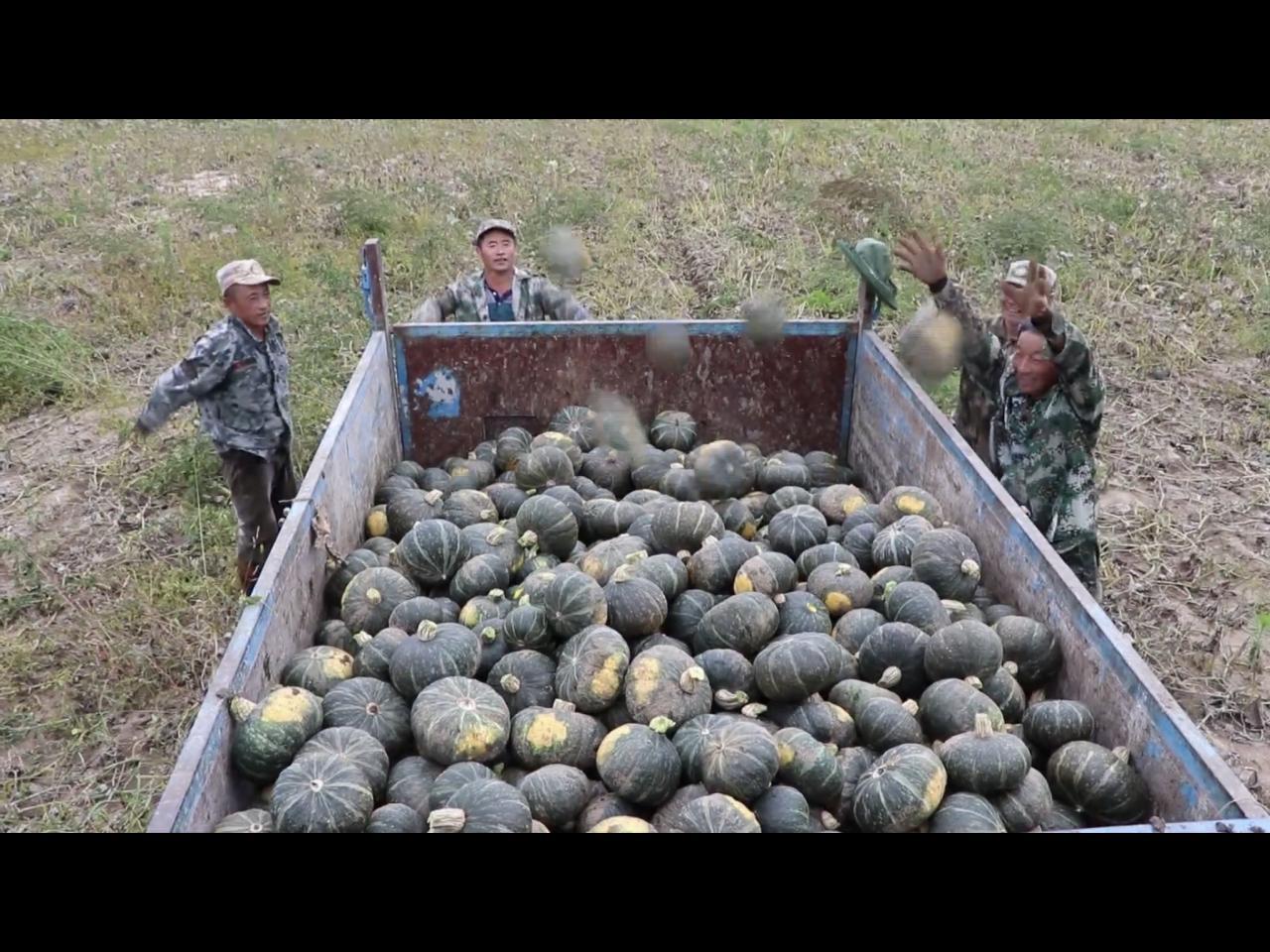 Скриншот: телевидение Хэйхэ